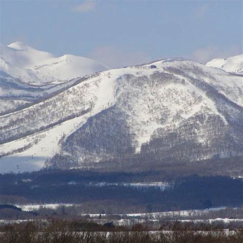 Lavender Season in Hokkaido 2020 | Visit Furano and Biei | Kyuhoshi