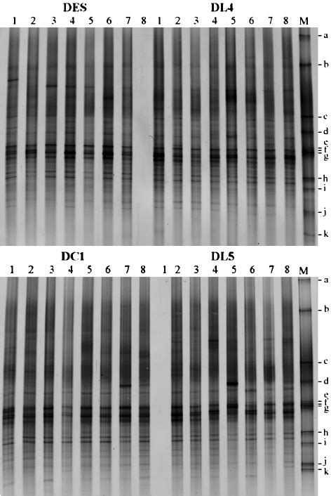 Dgge Pro Fi Les Showing The Seasonal Dynamics Of Bacterial Communities Download Scientific