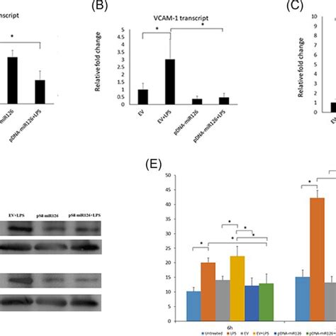 Overexpression of miR126 inhibited VCAM1 and IL1β in DPCs AC