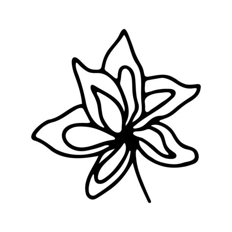 Hand Drawn Herbal Floral Clipart One Line Doodle Vector 20426535