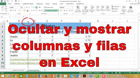 Como Ocultar Y Mostrar Una Columna En Excel 23736 Hot Sex Picture