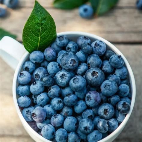 20 Frutas Naturalmente Azules Lista De Alimentos El Comensal