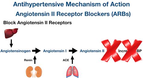 Antihypertensive Medication Chart Drug Classes List Of Examples