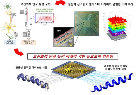 차세대 뉴로모픽 구현 앞당긴다kaist 고신뢰성 인공 뉴런 어레이 개발 전자신문