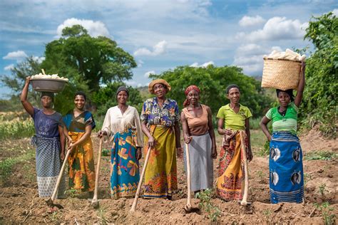 Women Farmers Photo Undp Malawi Undp Climate Flickr