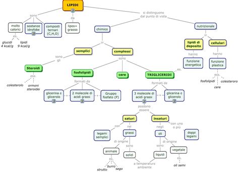 Mappe Sulle Biomolecole