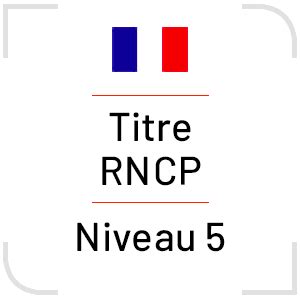 Formation Ntc Distance Titre Pro Niveau