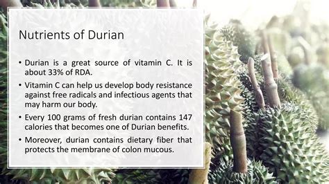 Health Benefits Of Durian Fruit Durian Benefits And Side Effects Ppt