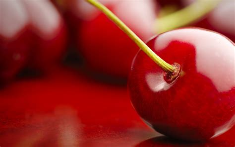 Cherry Berry Branch Ripe Wallpaper Coolwallpapers Me