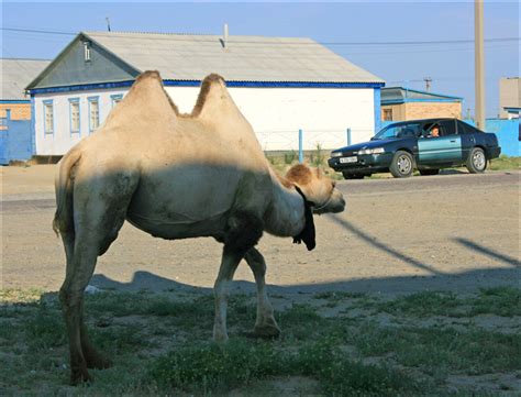Aralsk city, Kazakhstan facts, history, pictures