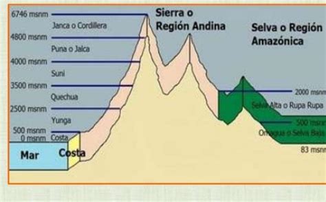 3 REALICE UN ORGANIDADOR GRAFICO DE LOS 3 GRANDES TRAYECTOS DE LA