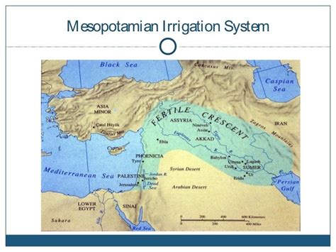 Mesopotamian Irrigation System