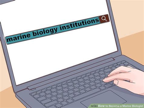 3 Ways To Become A Marine Biologist Wikihow