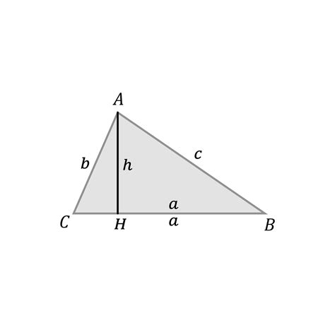 Teorema del seno coseno y tangente Matemáticas Explicación y