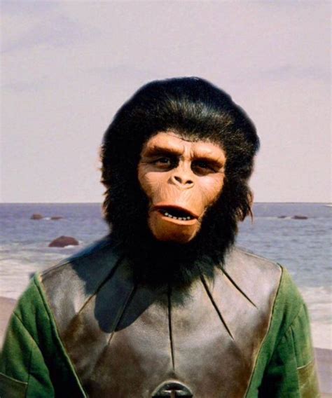 Archives Of The Apes Blogspot Co Uk In 2024 Planet Of The