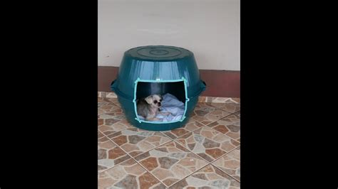 Casa De Bacia Para Pets YouTube