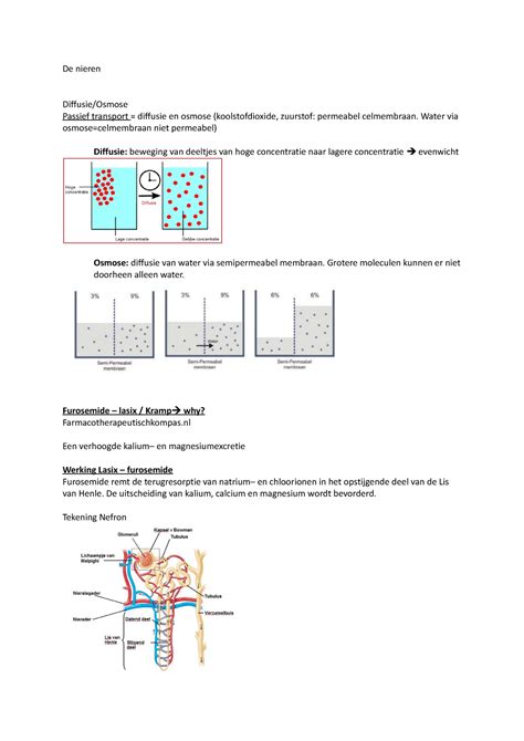 15 9 20 De Nieren De Nieren Diffusie Osmose Passief Transport