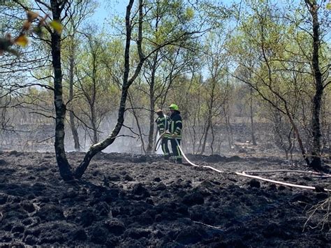 Update zum Moorbrand in Papenburg Wieder mehr Einsatzkräfte vor Ort