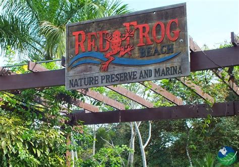 Red Frog Beach Island Resort An Award Winning Resort