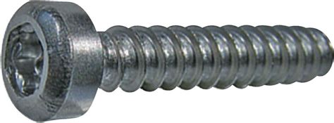 Delta Pt Pan Head Screws Type Wn With Torx Plus Autosert Brw Ch