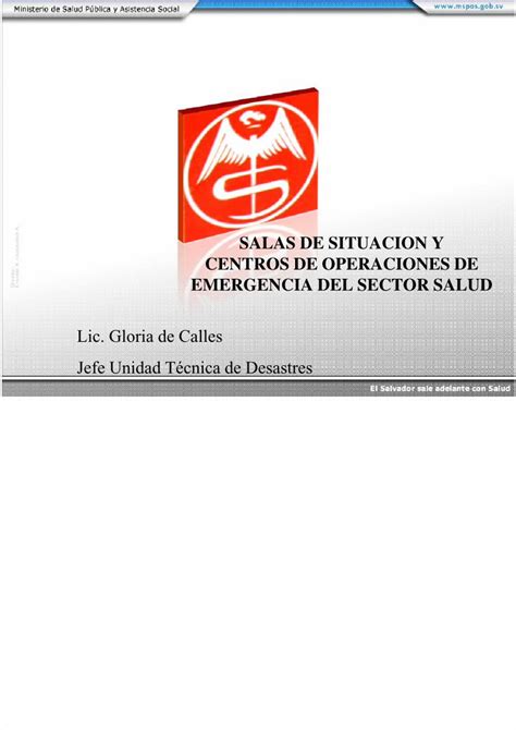 Pdf Salas De Situacion Y Centros De Operaciones De Emergencia Lic