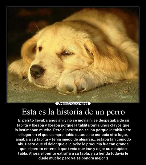 Esta Es La Historia De Un Perro Desmotivaciones