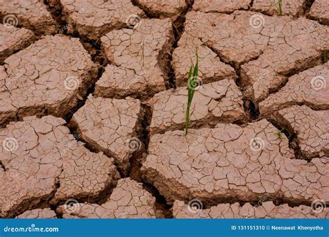 Desviación De La Estación Seca Hasta Que La Tierra Agrietada Foto de