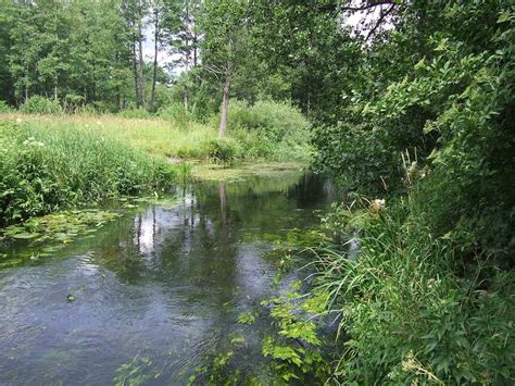 Łaźna Struga | Spływy