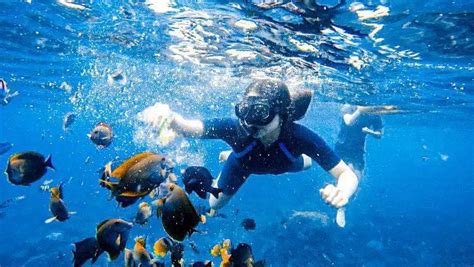 West Nusa Penida Snorkeling Tour Packages Bali Hire Driver