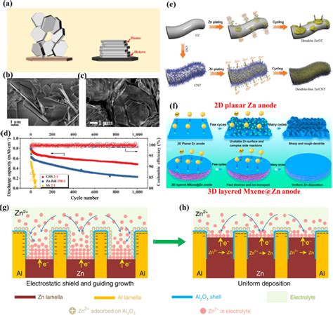 A Schematic Illustration Of Zinc Epitaxial Electrodeposition Sem Download Scientific Diagram