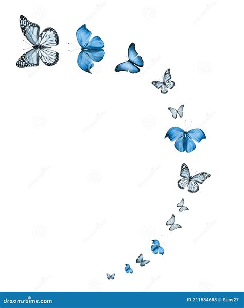 Flock Of Flying Butterflies Isolated Stock Photo Image Of Celebration