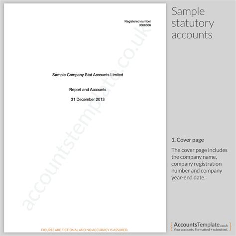 A guide to the Statutory Accounts format | Accounts Template