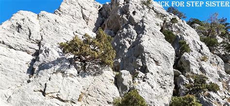 In Nature I Fucked A Girl Right In The Mountains Porn 31 XHamster