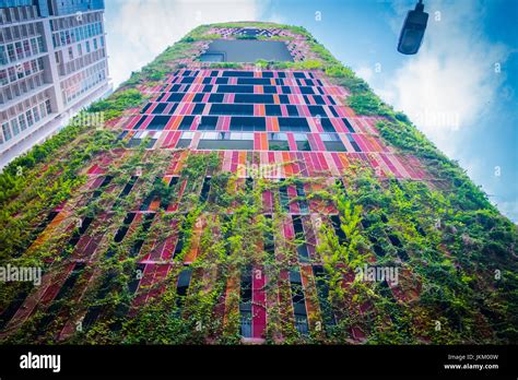 Skyscraper Covered With Creeper Plants December 2016 Stock Photo Alamy