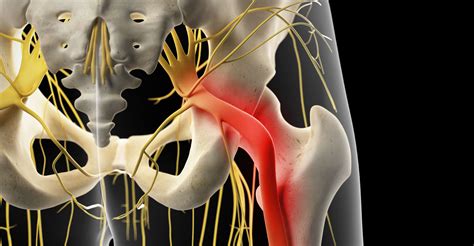 La colonne vertébrale ou rachis et ses ligaments Dossier