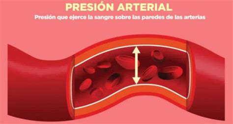 Té de canela Realmente sube la presión arterial Descúbrelo aquí