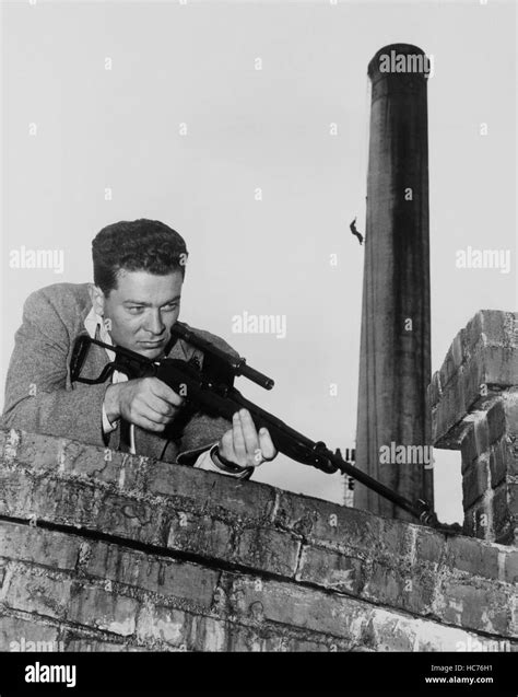 THE SNIPER, Arthur Franz, 1952 Stock Photo - Alamy