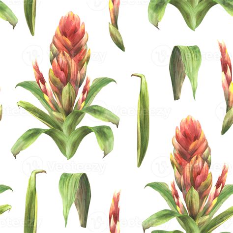 Tropical bromeliad flower seamless pattern, red buds and leaves. Exotic