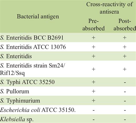 Cross Reactivity Results Of Pre Absorbed And Post Absorbed Antisera To