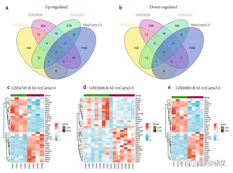 84分，非肿瘤生信加实验验证。热点基因集（线粒体相关基因）思路，可升级！ 知乎