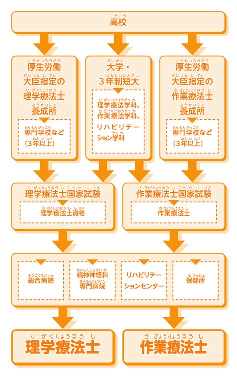 理学療法士になるにはの検索結果 Yahooきっず検索