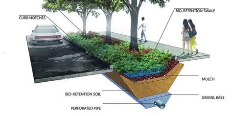 Typical Design Of A Bioswale Of City Street 12 Download Scientific