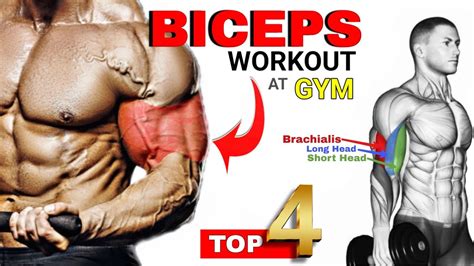 Top 4 Biceps Workout At Gym Buddyfitness Youtube