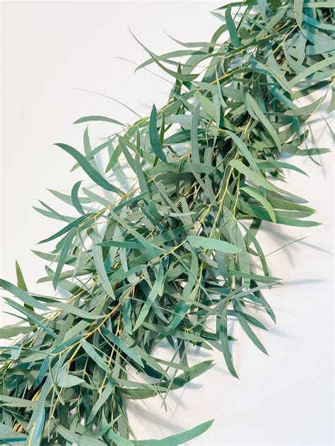 Shop Feather Eucalyptus Garland Wedding Garland Greenery Hello