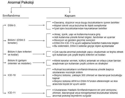 Prof. Dr. Bilsen Beşergil: Anormal Psikoloji (abnormal psychology)