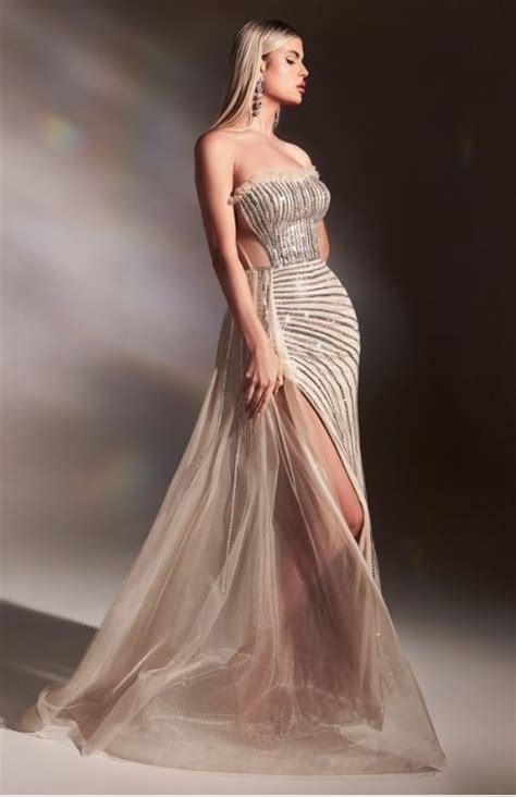 Silver Nude Evening Maxi The Store Of Quality Fashion Items Thearamide ARAMIDE