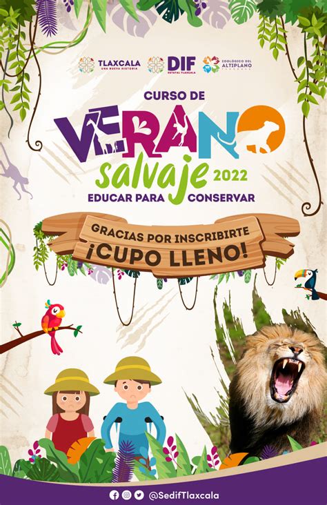 Sedif Curso Verano