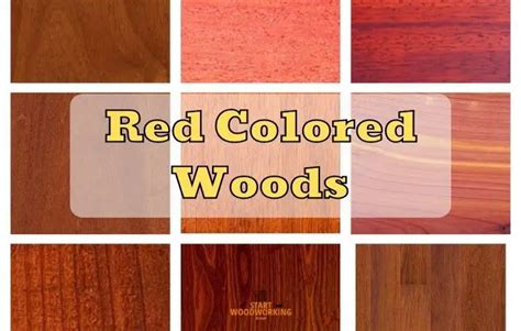 18 Red Colored Woods [You Didn't Know] - Start Woodworking Now