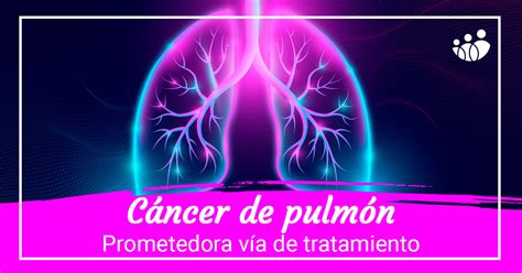 Nueva Estrategia Terapéutica Contra El Tumor Microcítico De Pulmón