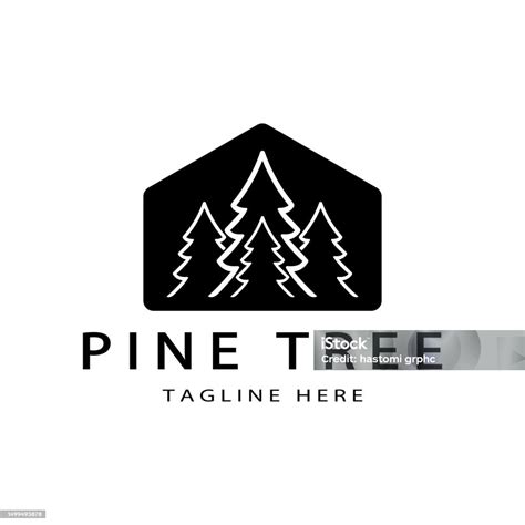 Logo Pohon Pinus Atau Cemara Sederhana Evergreenfor Hutan Pinus